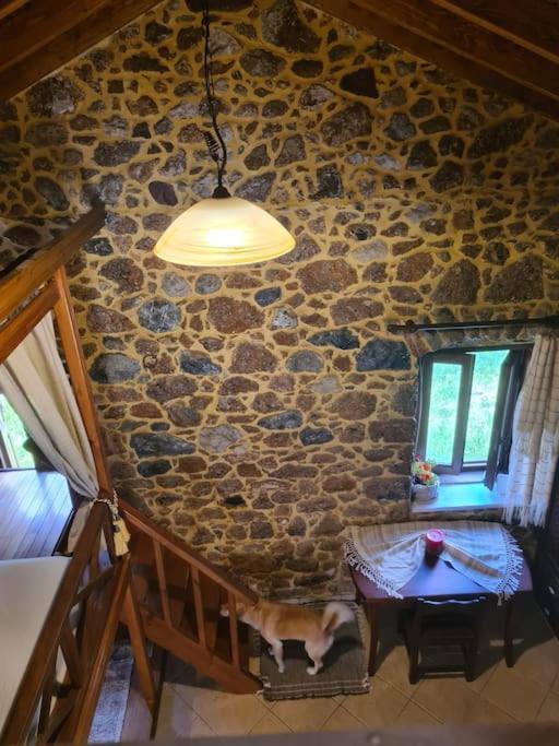Annas Cozy Cottage Kalymnos Panormos  エクステリア 写真